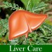 Bhumiamalaki Compound (Liver Tonic) 180 Packets