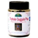 Triphala Guggul (Weight Reduction & Control Pills) 180 Pills